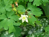 DSCN9758.webp
