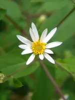 DSCN9755.webp