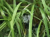 BILD4448.webp