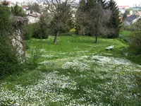 _ILD0045.webp