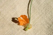 K800_IMG_1957.webp