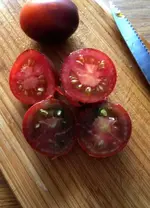 Indigo Ruby 1.jpg