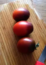 Indigo Ruby 2.webp