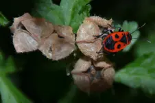 DSC_9799.webp