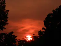 SU-10-08-2015_0002.webp