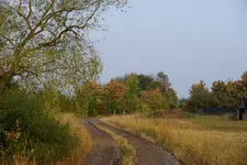 Herbst (2).webp