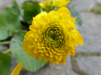 P1320247.webp