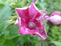 P1490158.webp