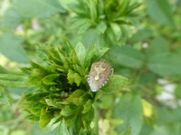 P1490380.webp