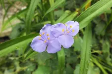 DSCF2751 (2).webp