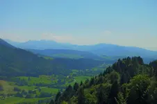 DSCF2625 (2).webp