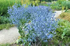 DSCF2420 (2).webp