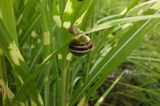 DSCF2745.webp