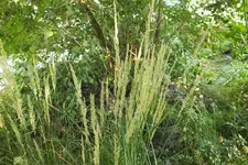DSCF2541.webp
