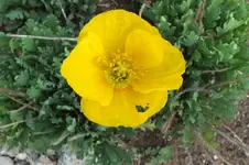 DSCF2406.webp