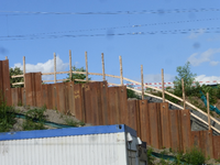 P1460509.webp