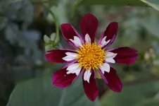 _DSC9029.webp