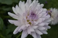 _DSC9027.webp