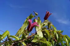 _DSC9021.webp