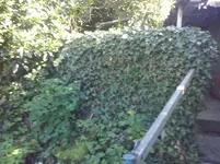 CAM00815.webp