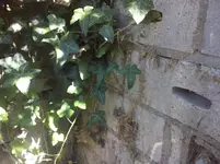 CAM00816.webp