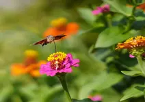 DSC08940.webp