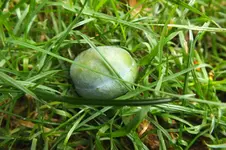 DSCF2752.webp