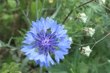 DSCF2363.webp