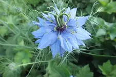 DSCF2416.webp