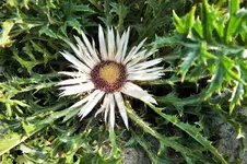 DSCF2786 (2).webp
