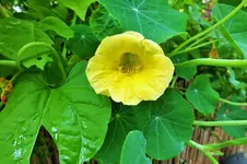 DSCF2543 (2).webp