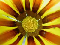 November 2009 169 v.webp