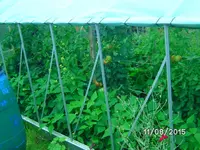 Unterstand (2).webp