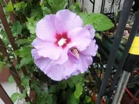 Bilda003.webp