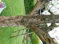 DSCN0141.jpg