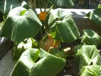 BILD4466.webp