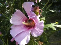 BILD4470.webp