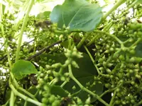 BILD4481.webp