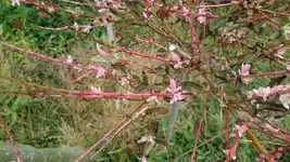 IMG-20150811-WA0002.webp