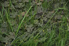 DSC_0608.webp