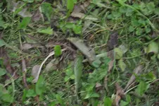 DSC_0619.webp