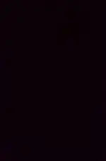 01.webp