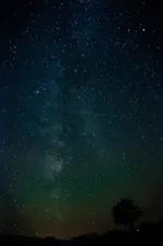neu (1 von 1).webp
