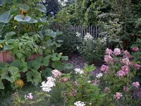 IMGP8019.webp