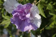 _DSC9033.webp