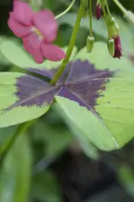 _DSC9040.webp