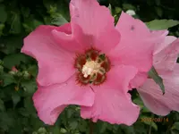 P8140020.webp