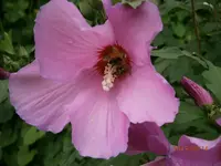 P8140021.webp