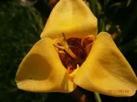 P8140033.webp