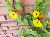 DSCI0055.webp